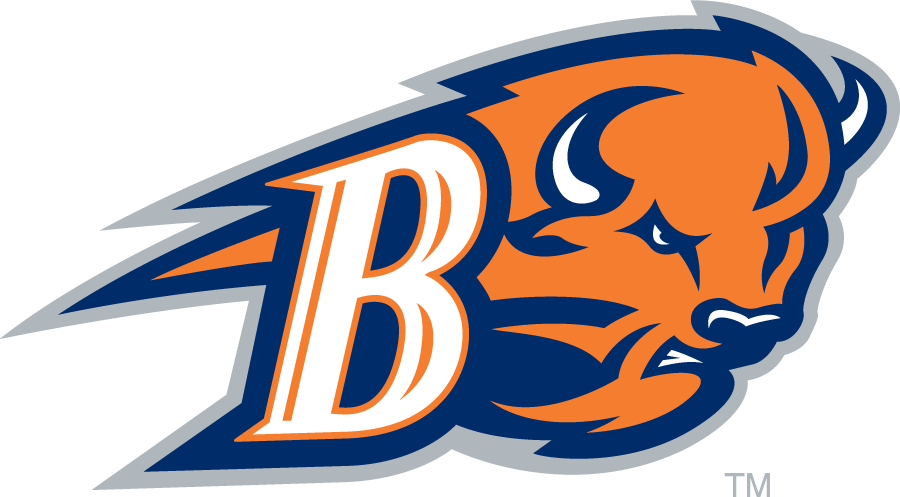 Bucknell Bison 2011-Pres Secondary Logo v2 diy iron on heat transfer